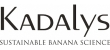 Kadalys